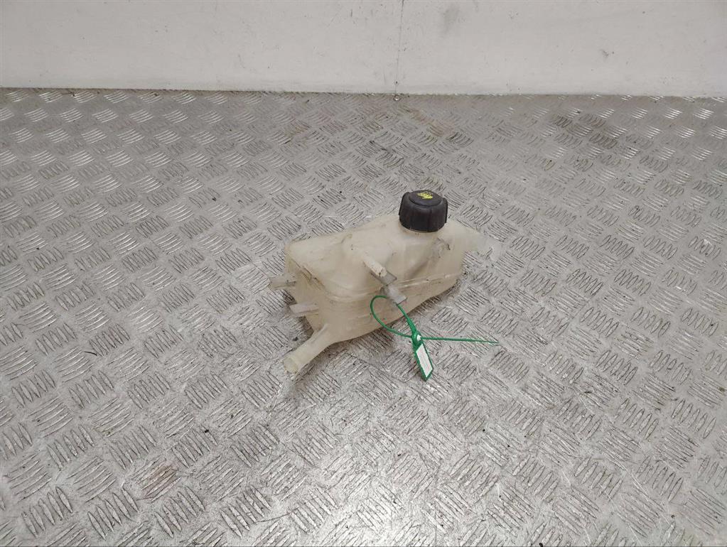 Бачок расширительный