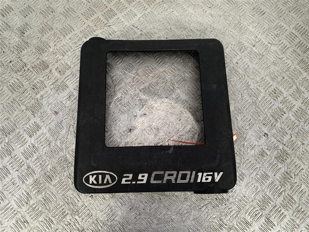 Декоративная крышка двигателя