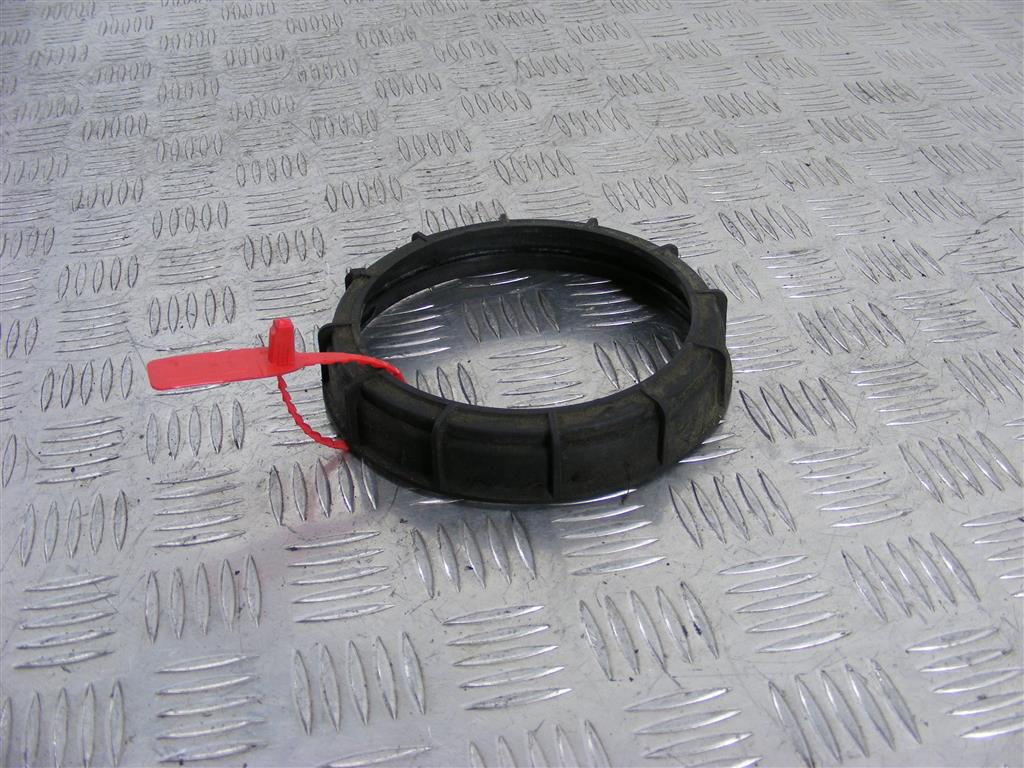 Гайка топливного насоса Renault Megane 2 (2002-2008) 09701687000