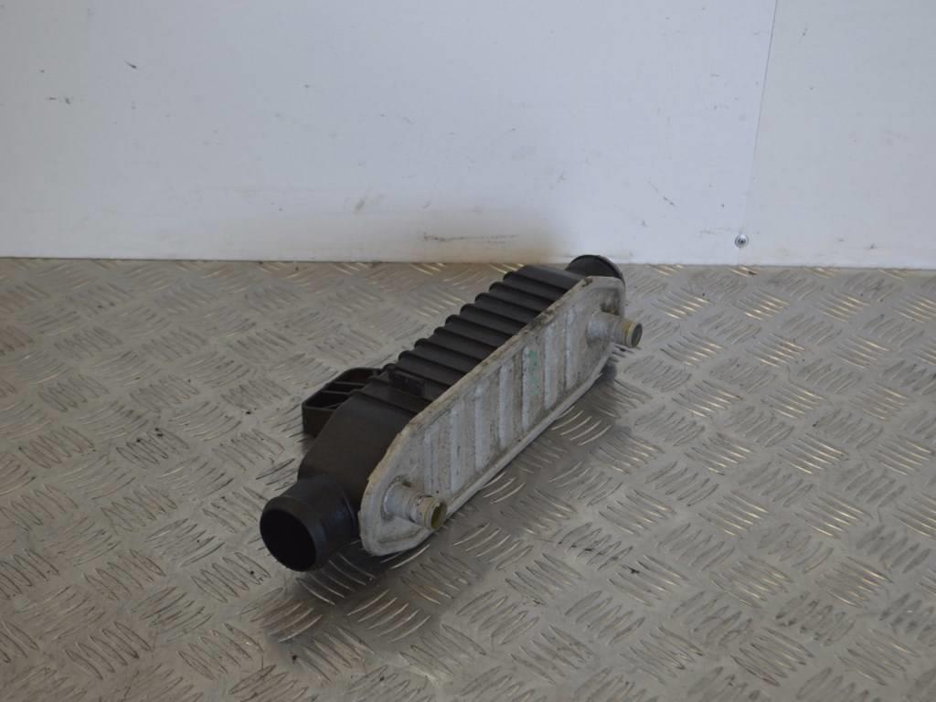 Интеркулер