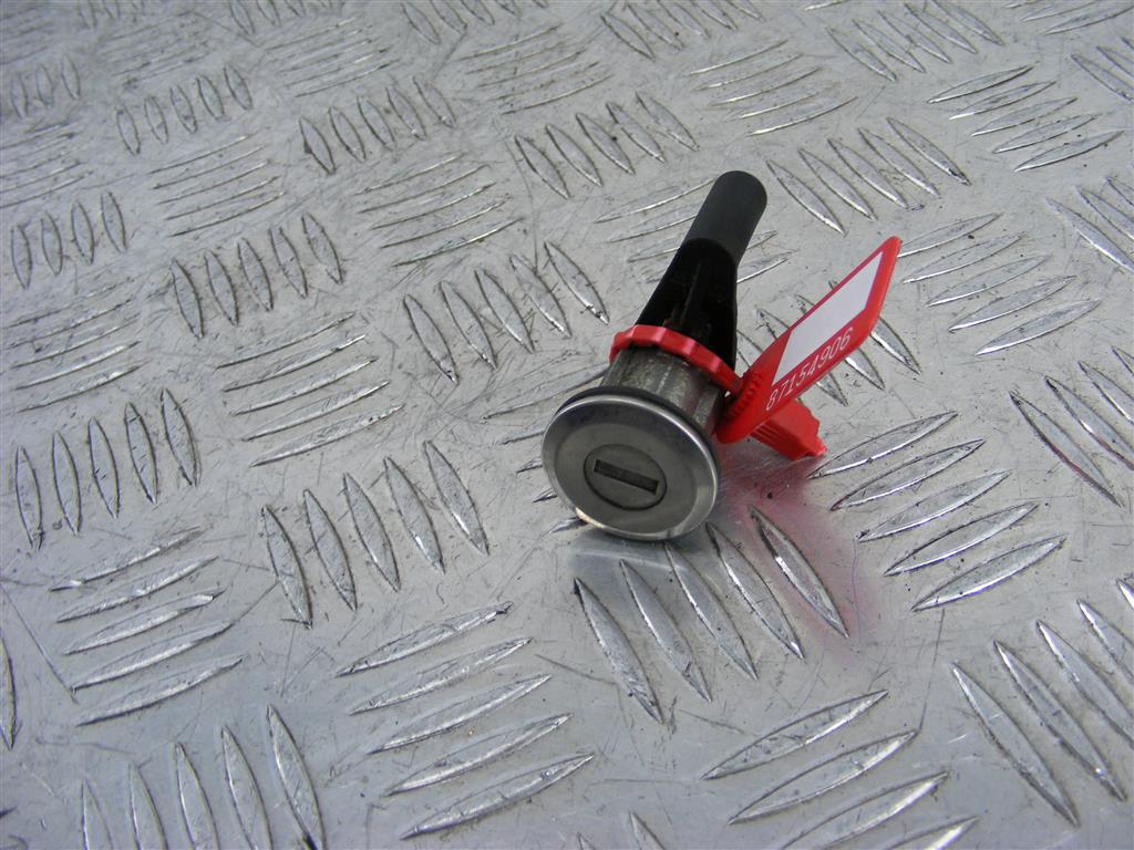 Личинка дверного замка