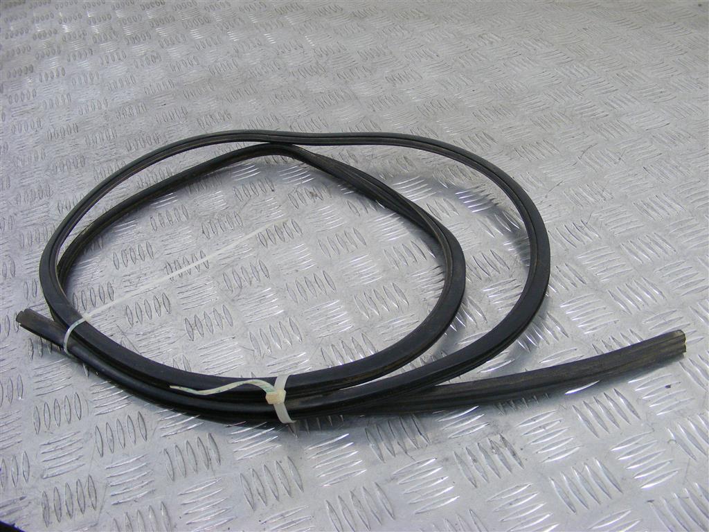 Молдинг стекла лобового Renault Scenic 1 (1996-2003)