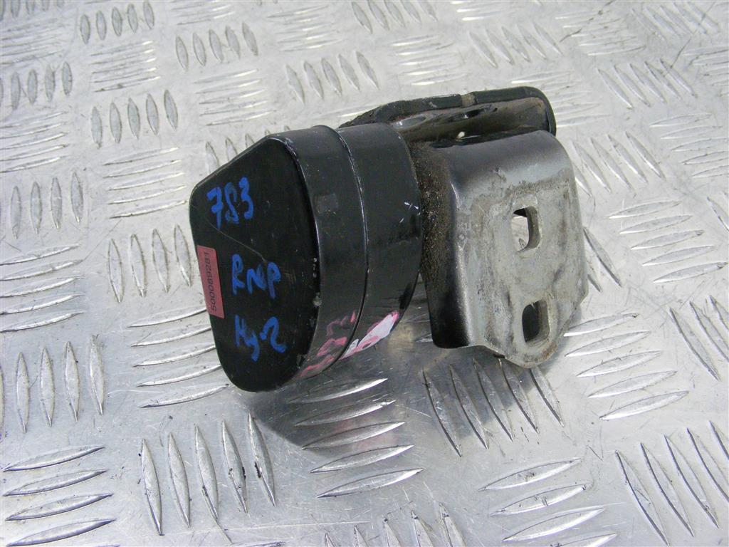 Ограничитель открывания двери Renault Scenic 2 (2003-2009)