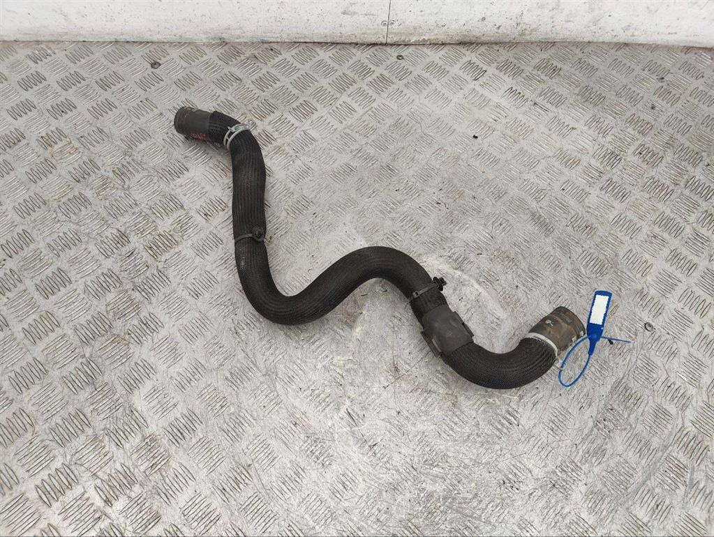 Патрубок (трубопровод, шланг)