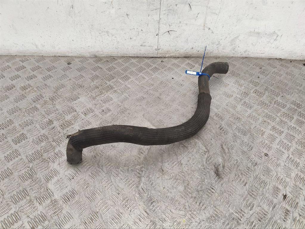 Патрубок (трубопровод, шланг)