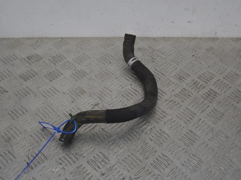 Патрубок (трубопровод, шланг)