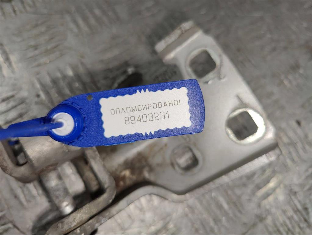 Петля двери передней левой