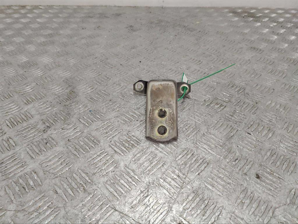 Петля двери передней левой