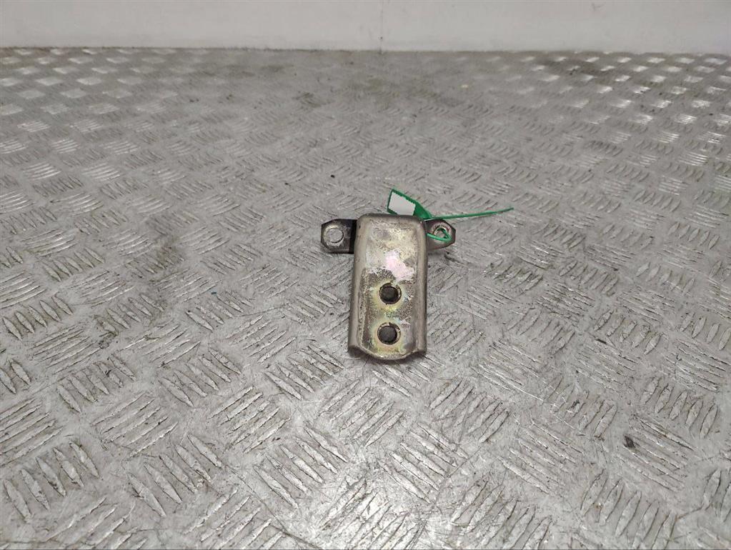 Петля двери передней левой