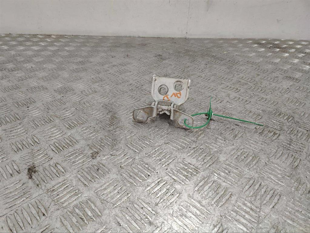 Петля двери передней правой