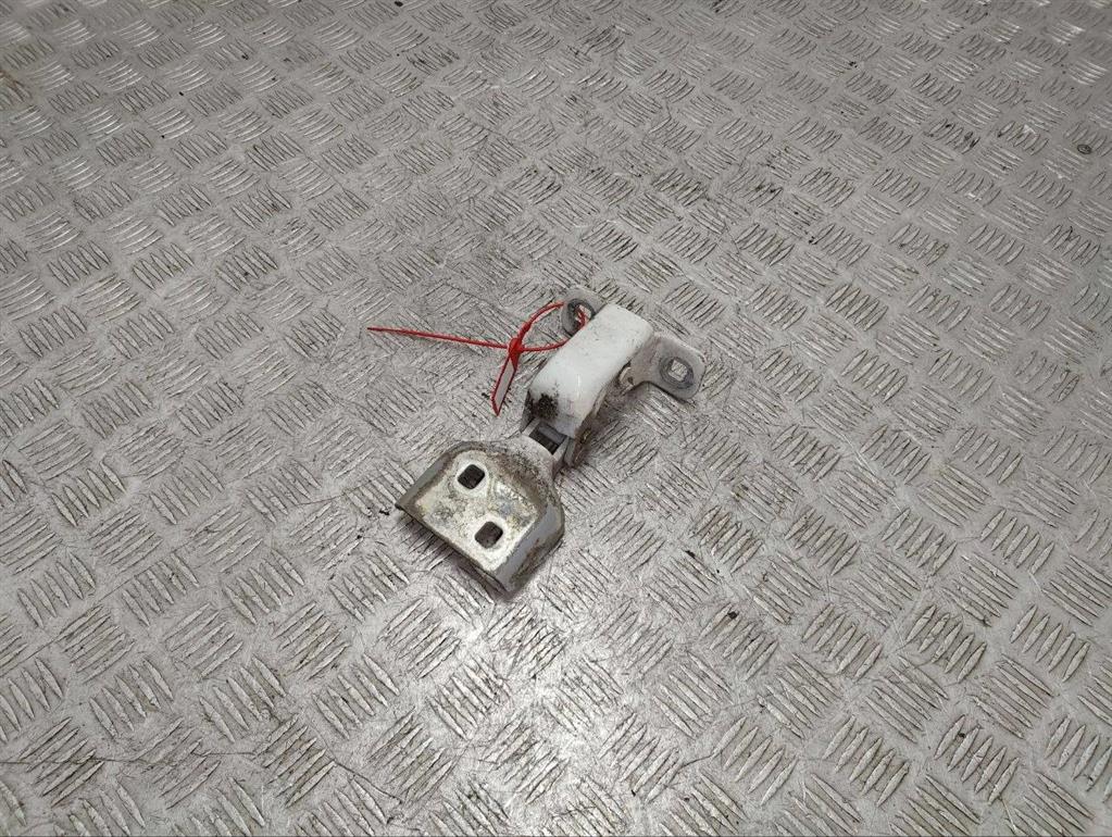 Петля двери передней правой