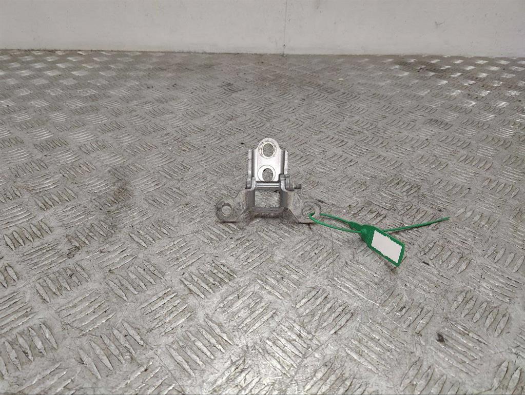 Петля двери передней