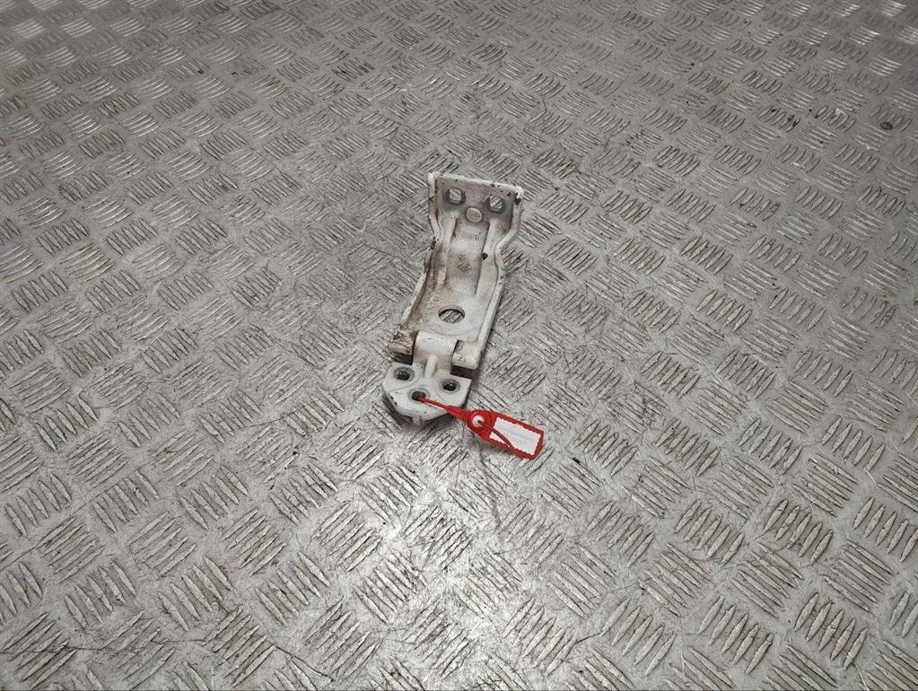 Петля двери задней левой