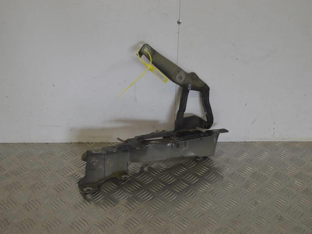 Петля капота левая Renault Scenic 2 (2003-2009)