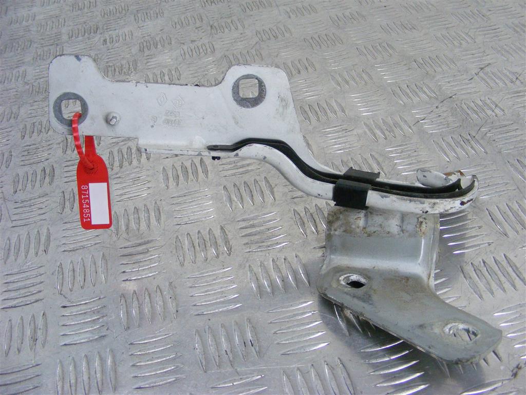 Петля капота Renault Clio 3 (2005-2012) 8200307817