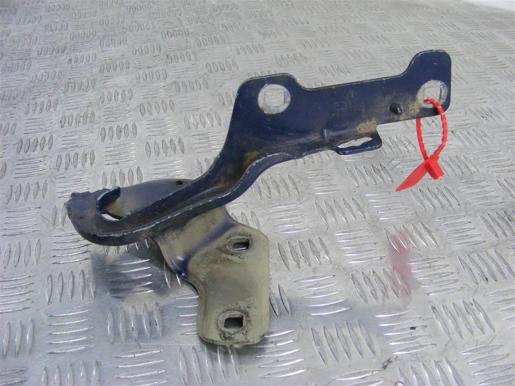 Петля капота Renault Clio 3 (2005-2012) 8200307816