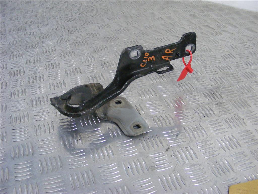 Петля капота Renault Clio 3 (2005-2012) 8200719033