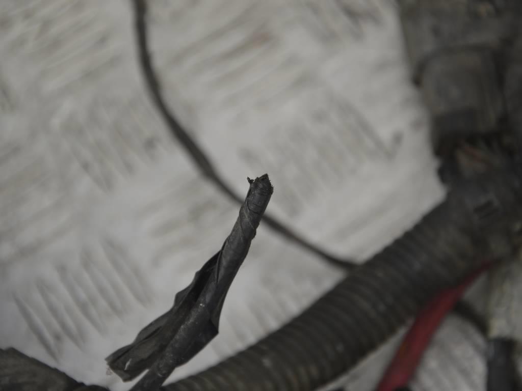 Проводка двигателя