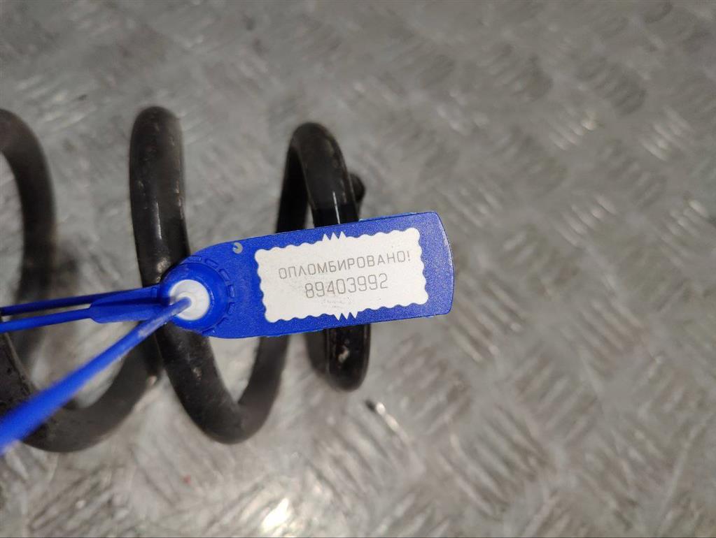 Пружина задняя