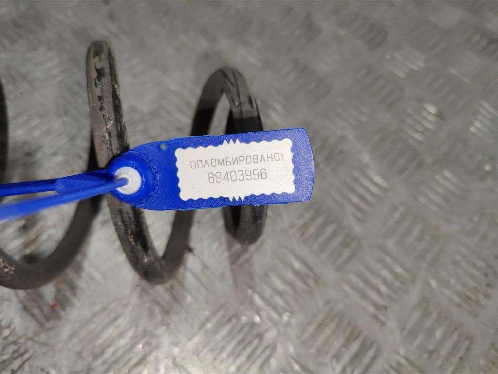 Пружина задняя