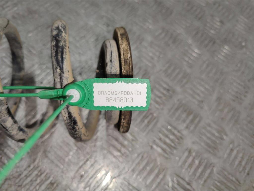 Пружина задняя