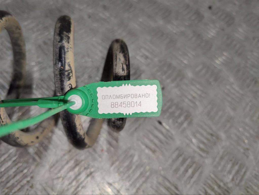 Пружина задняя