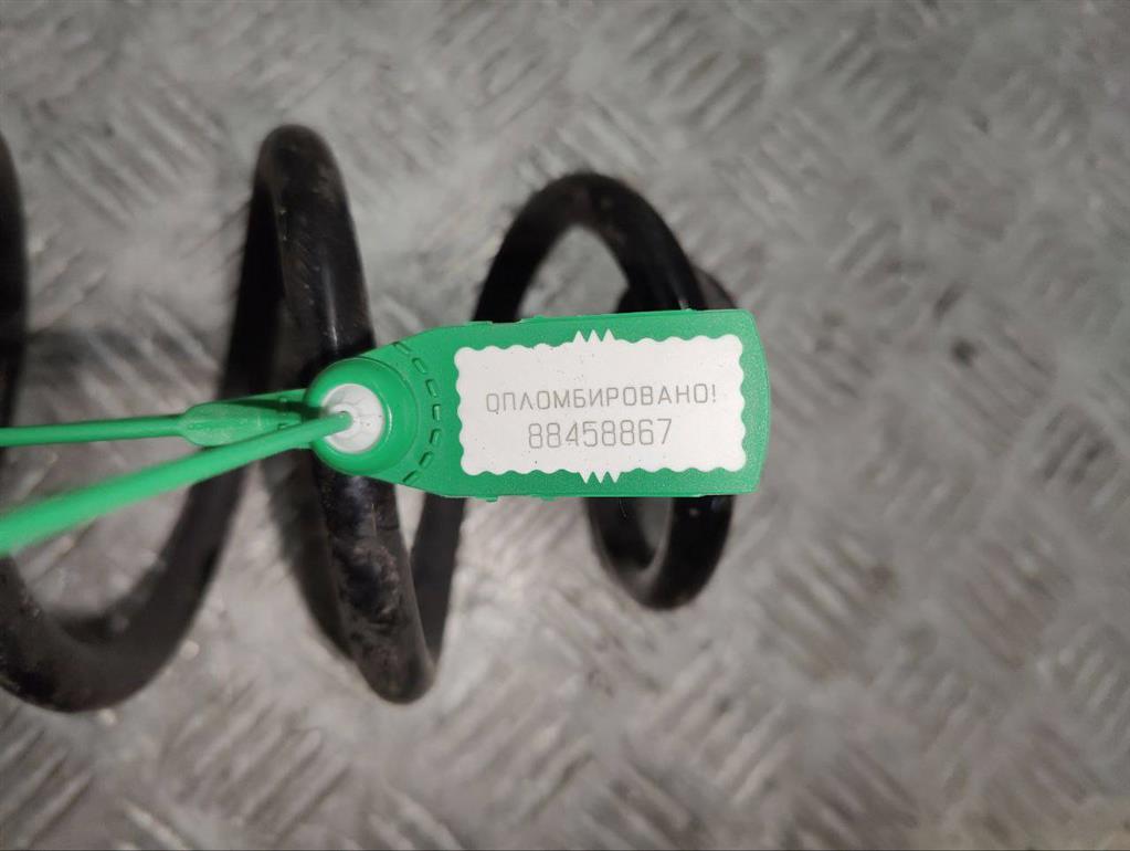 Пружина задняя