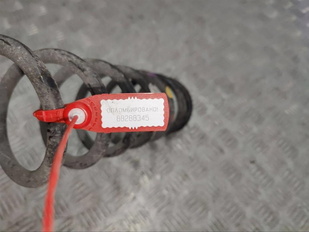 Пружина задняя