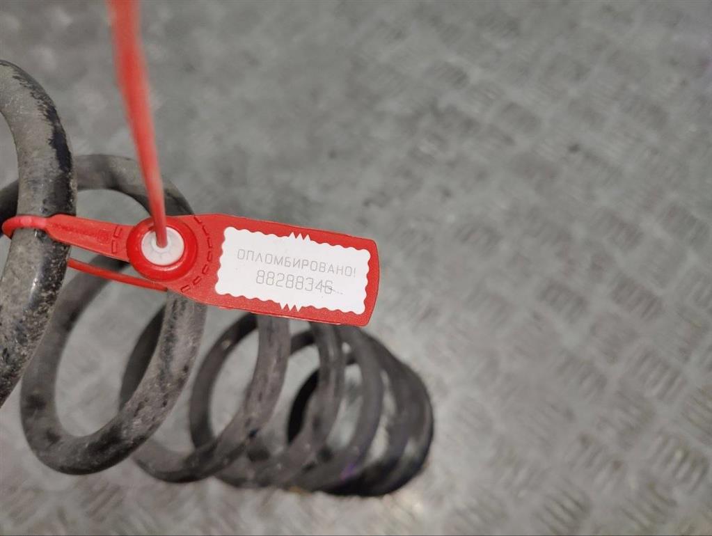 Пружина задняя