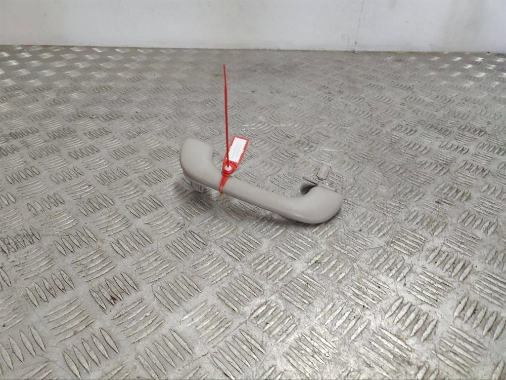 Ручка внутренняя потолочная