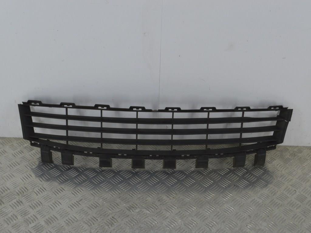 Заглушка (решетка) в бампер