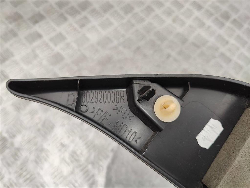 Заглушка зеркала правого